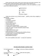 Konspekts 'Darba tirgus vadīšana', 23.