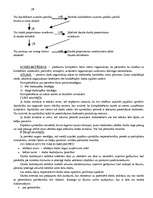 Konspekts 'Darba tirgus vadīšana', 24.