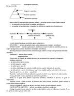 Konspekts 'Darba tirgus vadīšana', 29.