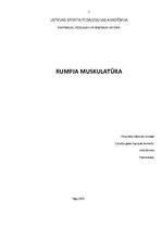 Konspekts 'Rumpja muskulatūra', 1.