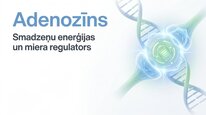 Prezentācija 'Adenozīns kā smadzeņu enerģijas un miera regulators', 1.