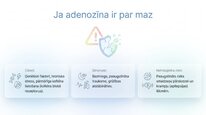 Prezentācija 'Adenozīns kā smadzeņu enerģijas un miera regulators', 8.