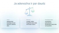 Prezentācija 'Adenozīns kā smadzeņu enerģijas un miera regulators', 9.