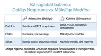 Prezentācija 'Adenozīns kā smadzeņu enerģijas un miera regulators', 10.