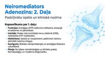 Prezentācija 'Adenozīns kā smadzeņu enerģijas un miera regulators', 13.