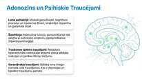 Prezentācija 'Adenozīns kā smadzeņu enerģijas un miera regulators', 14.