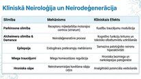 Prezentācija 'Adenozīns kā smadzeņu enerģijas un miera regulators', 15.