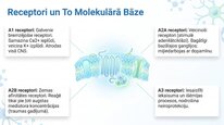 Prezentācija 'Adenozīns kā smadzeņu enerģijas un miera regulators', 17.