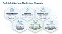 Prezentācija 'Adenozīns kā smadzeņu enerģijas un miera regulators', 23.