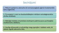 Prezentācija 'Adenozīns kā smadzeņu enerģijas un miera regulators', 24.