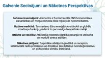 Prezentācija 'Adenozīns kā smadzeņu enerģijas un miera regulators', 25.