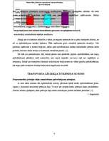 Referāts 'Sauszemes transportlīdzekļu apdrošināšana', 6.