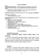 Referāts 'Sauszemes transportlīdzekļu apdrošināšana', 18.