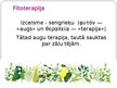 Prezentācija 'Fitoterapijas vēsture', 2.
