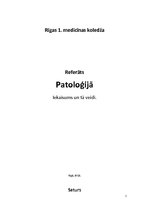 Konspekts 'Iekaisums un tā veidi', 1.