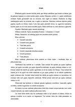 Referāts 'Papīra izmantošana', 3.