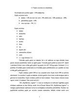 Referāts 'Papīra izmantošana', 7.