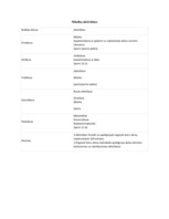 Prakses atskaite 'Vērošanas prakses atskaite pirmsskolas izglītības iestādē', 7.