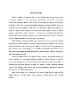 Referāts 'Individuālas krīzes situācijas analīze', 3.