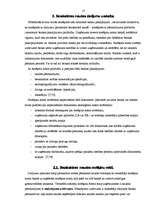 Referāts 'Skaidras un bezskaidras naudas uzskaite', 13.