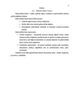 Referāts 'Grāmatvedības uzskaites sistēma', 4.