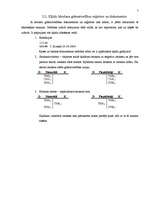 Referāts 'Grāmatvedības uzskaites sistēma', 5.