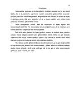 Referāts 'Grāmatvedības uzskaites sistēma', 17.