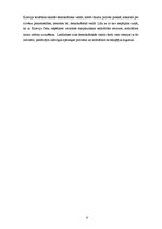 Eseja 'Krievijas un Gruzijas konflikts: Krievijas uzvedības skaidrojums no reālisma un ', 6.