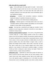 Referāts 'Iespējamie hiperaktivitātes cēloņi', 3.