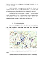 Referāts 'Mārketinga plāns viesu nama kompleksam', 3.