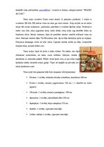 Referāts 'Mārketinga plāns viesu nama kompleksam', 9.