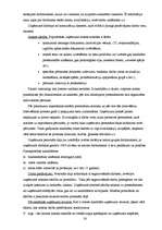 Diplomdarbs 'SIA “Lattelekom” personāla vadīšanas ietekme uz uzņēmuma finansiālo stāvokli', 36.