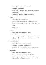 Paraugs 'Latviešu tautas deju stundas modelis', 6.