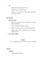 Paraugs 'Latviešu tautas deju stundas modelis', 7.