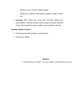 Paraugs 'Latviešu tautas deju stundas modelis', 8.