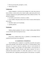 Referāts 'Personāla pārvaldības procesa raksturojums Rīgas Pašvalsības policijā', 10.