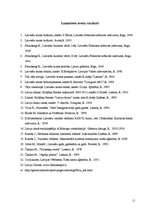 Referāts 'Bite latviešu folklorā', 11.