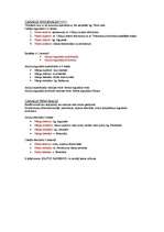 Konspekts 'Canalis inguinalis', 1.