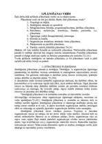 Referāts 'Plānošana un plānu veidi sociālajā pārvaldē', 5.