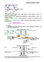 Konspekts 'Kvalitātes ekonomika un vadība', 1.