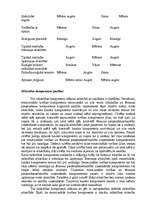 Konspekts 'Mīlestības trijstūra teorija', 3.