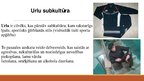 Prezentācija 'Subkultūra - urlas', 2.