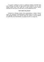 Konspekts 'Dzimuma un vecuma atšķirību ievērošana lietišķajā etiķetē', 6.