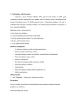 Referāts 'Starptautiskā Biznesa informācijas centra "Jaunie Projekti" ekonomiskās darbības', 4.