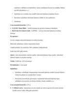 Referāts 'Starptautiskā Biznesa informācijas centra "Jaunie Projekti" ekonomiskās darbības', 7.