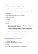 Referāts 'Starptautiskā Biznesa informācijas centra "Jaunie Projekti" ekonomiskās darbības', 8.