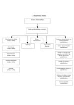 Referāts 'Starptautiskā Biznesa informācijas centra "Jaunie Projekti" ekonomiskās darbības', 11.