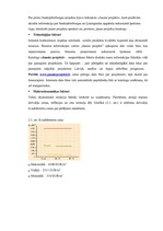 Referāts 'Starptautiskā Biznesa informācijas centra "Jaunie Projekti" ekonomiskās darbības', 13.