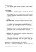 Referāts 'Starptautiskā Biznesa informācijas centra "Jaunie Projekti" ekonomiskās darbības', 15.