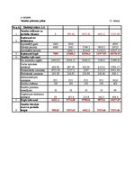 Referāts 'Starptautiskā Biznesa informācijas centra "Jaunie Projekti" ekonomiskās darbības', 41.